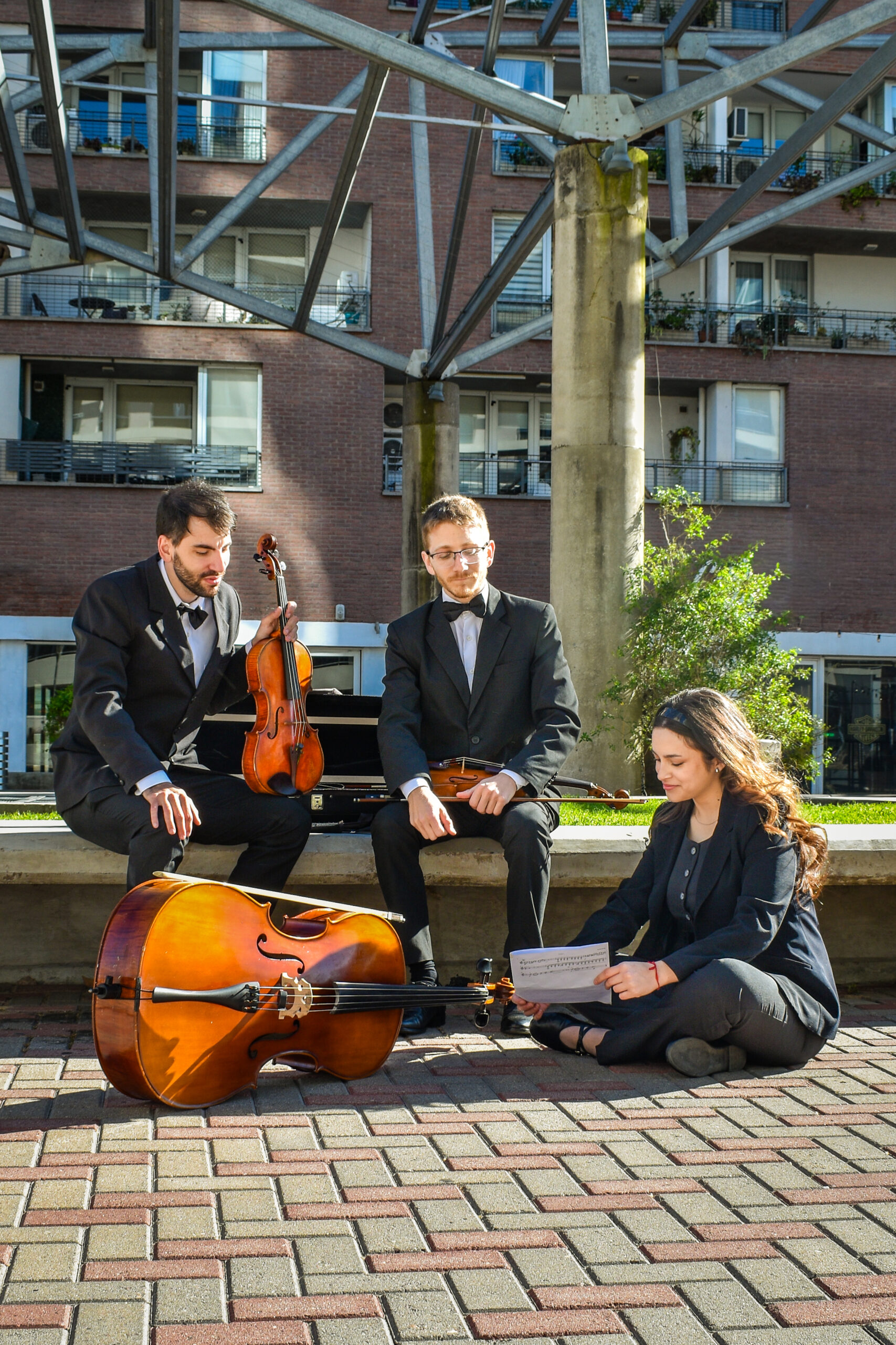 Wood and Waves String Trio